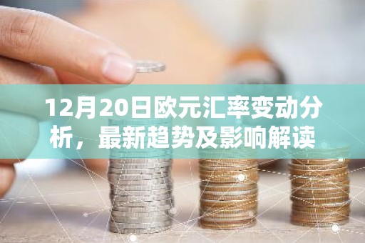 12月20日欧元汇率变动分析，最新趋势及影响解读