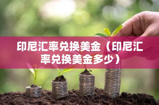 印尼汇率兑换美金（印尼汇率兑换美金多少）