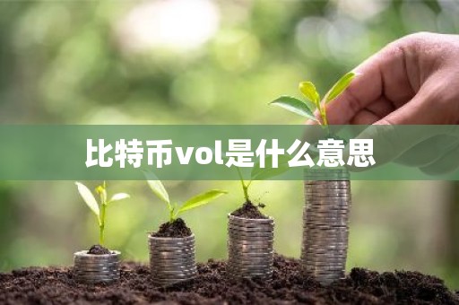比特币vol是什么意思