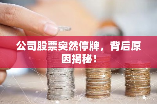 公司股票突然停牌，背后原因揭秘！