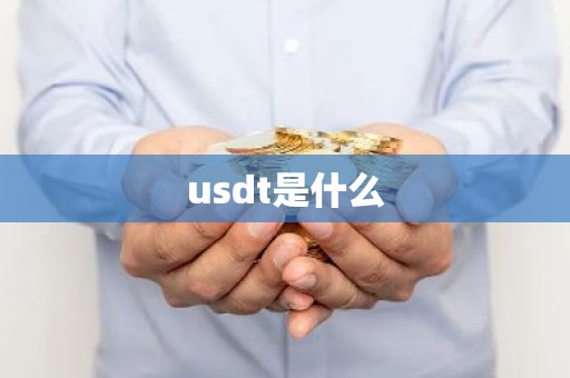 usdt是什么