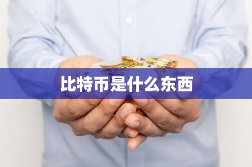 比特币是什么东西