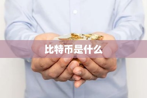 比特币是什么