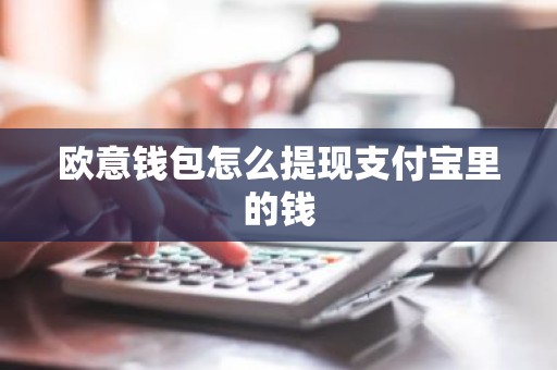 欧意钱包怎么提现支付宝里的钱