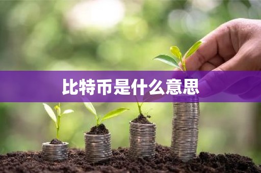 比特币是什么意思