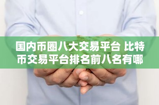 国内币圈八大交易平台 比特币交易平台排名前八名有哪些