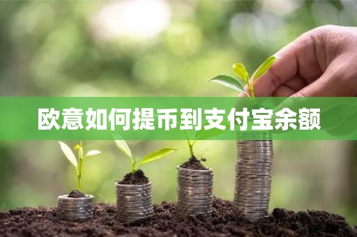 欧意如何提币到支付宝余额