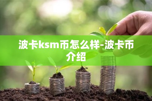 波卡ksm币怎么样-波卡币介绍