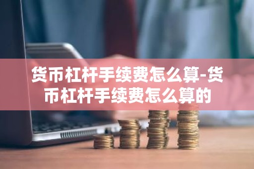 货币杠杆手续费怎么算-货币杠杆手续费怎么算的