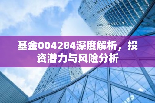 基金004284深度解析，投资潜力与风险分析