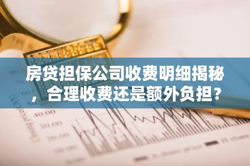 房贷担保公司收费明细揭秘，合理收费还是额外负担？
