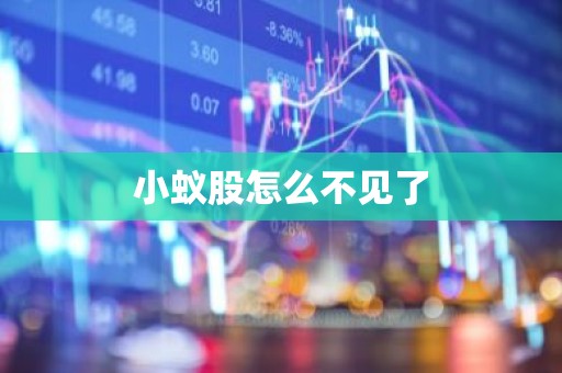 小蚁股怎么不见了
