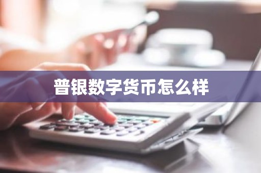 普银数字货币怎么样