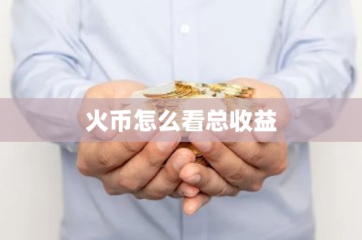火币怎么看总收益
