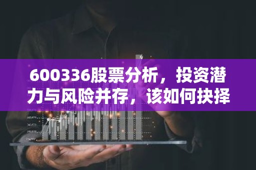 600336股票分析，投资潜力与风险并存，该如何抉择？