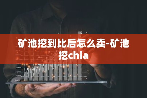矿池挖到比后怎么卖-矿池挖chia