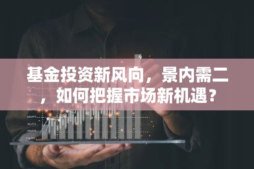 基金投资新风向，景内需二，如何把握市场新机遇？