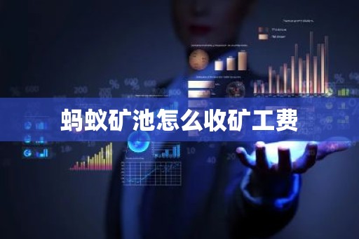 蚂蚁矿池怎么收矿工费