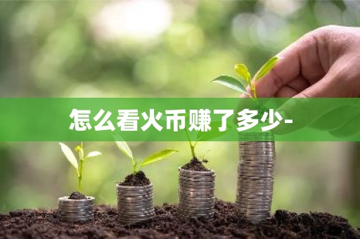 怎么看火币赚了多少-