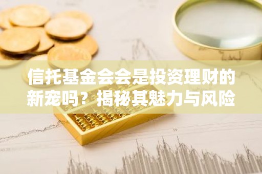 信托基金会会是投资理财的新宠吗？揭秘其魅力与风险