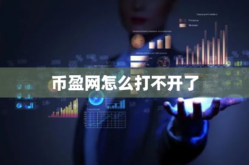 币盈网怎么打不开了