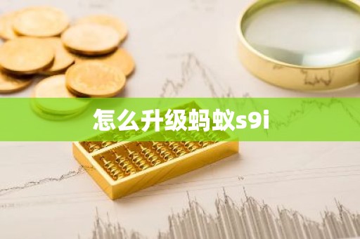怎么升级蚂蚁s9i