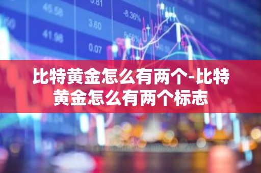 比特黄金怎么有两个-比特黄金怎么有两个标志