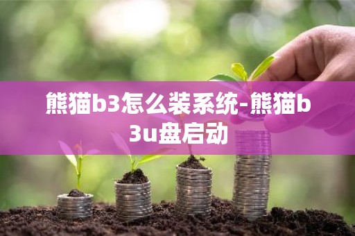 熊猫b3怎么装系统-熊猫b3u盘启动
