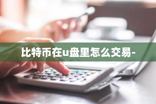 比特币在u盘里怎么交易-
