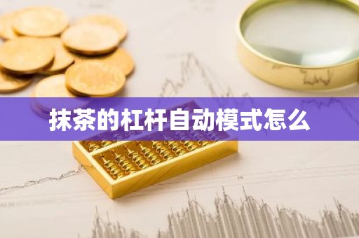 抹茶的杠杆自动模式怎么