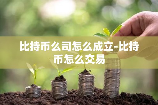 比持币么司怎么成立-比持币怎么交易
