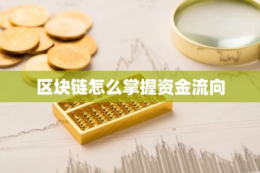 区块链怎么掌握资金流向
