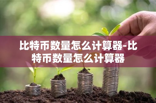 比特币数量怎么计算器-比特币数量怎么计算器