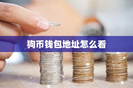 狗币钱包地址怎么看