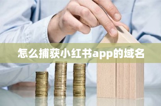 怎么捕获小红书app的域名