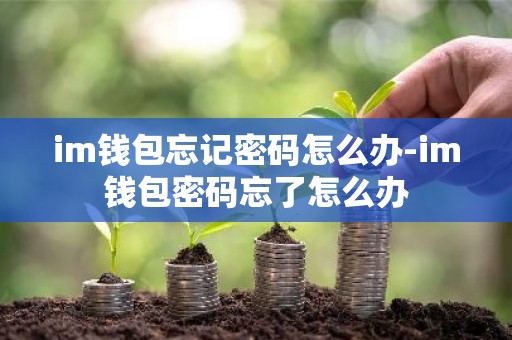 im钱包忘记密码怎么办-im钱包密码忘了怎么办