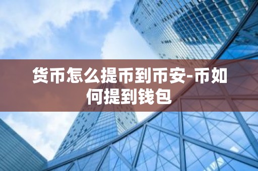 货币怎么提币到币安-币如何提到钱包