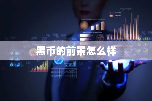 黑币的前景怎么样