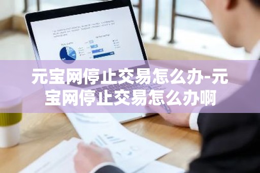 元宝网停止交易怎么办-元宝网停止交易怎么办啊