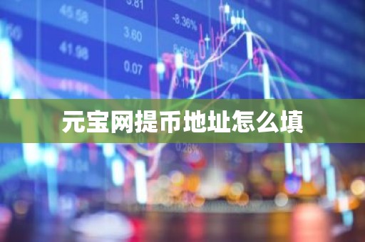 元宝网提币地址怎么填