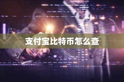 支付宝比特币怎么查