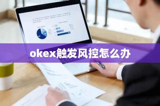 okex触发风控怎么办
