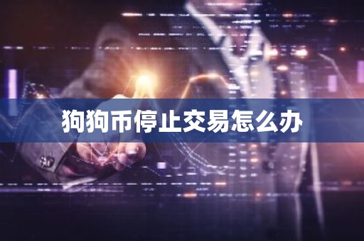 狗狗币停止交易怎么办