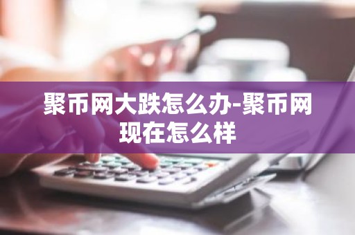 聚币网大跌怎么办-聚币网现在怎么样