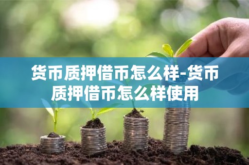 货币质押借币怎么样-货币质押借币怎么样使用