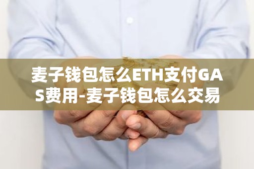 麦子钱包怎么ETH支付GAS费用-麦子钱包怎么交易