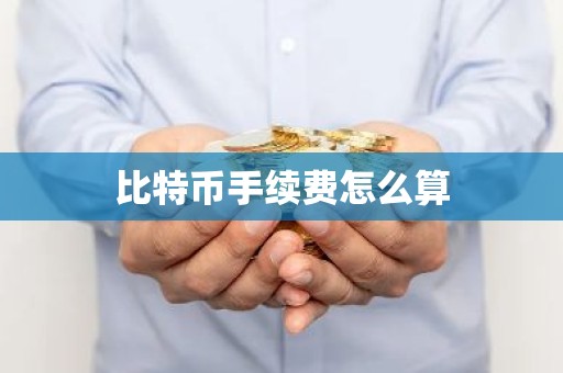比特币手续费怎么算