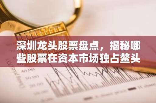 深圳龙头股票盘点，揭秘哪些股票在资本市场独占鳌头？