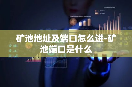 矿池地址及端口怎么进-矿池端口是什么