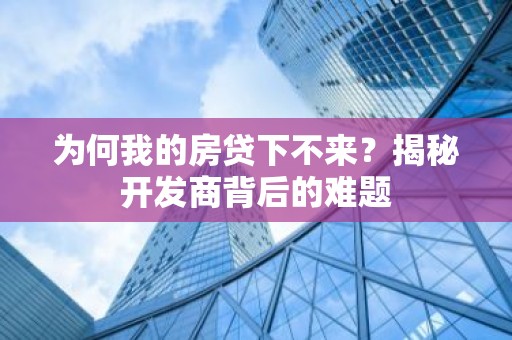 为何我的房贷下不来？揭秘开发商背后的难题